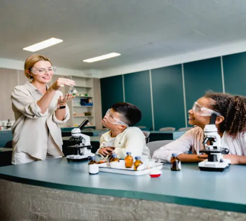 Schools & Universities