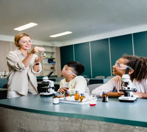 Schools & Universities