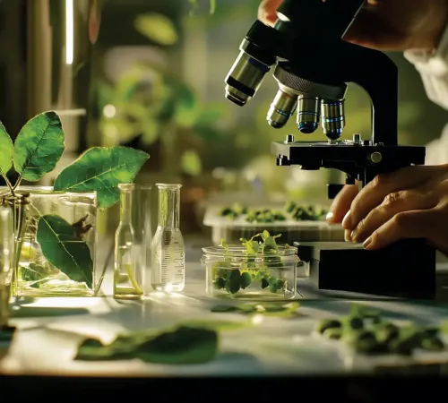 Environmental Research